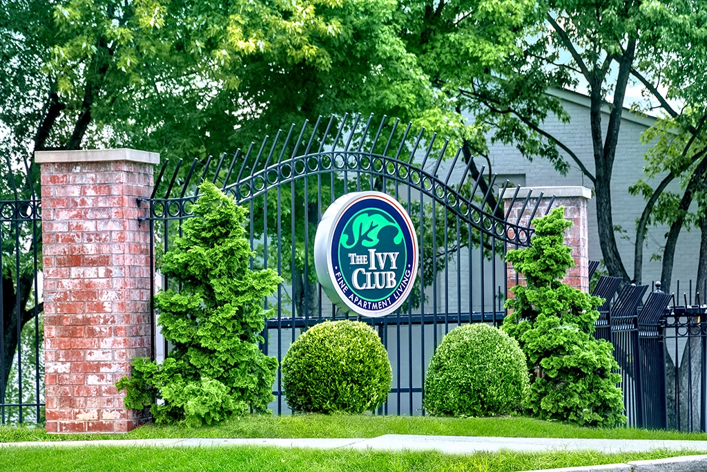 The Ivy Club